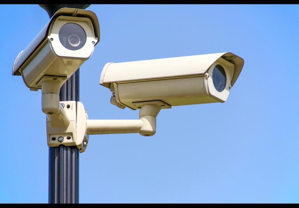 pexels asphotography 96612 (1)