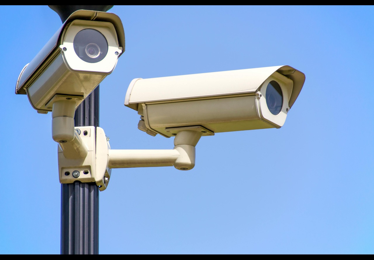 pexels asphotography 96612 (1)