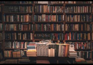 pexels technobulka 2908984 (1)