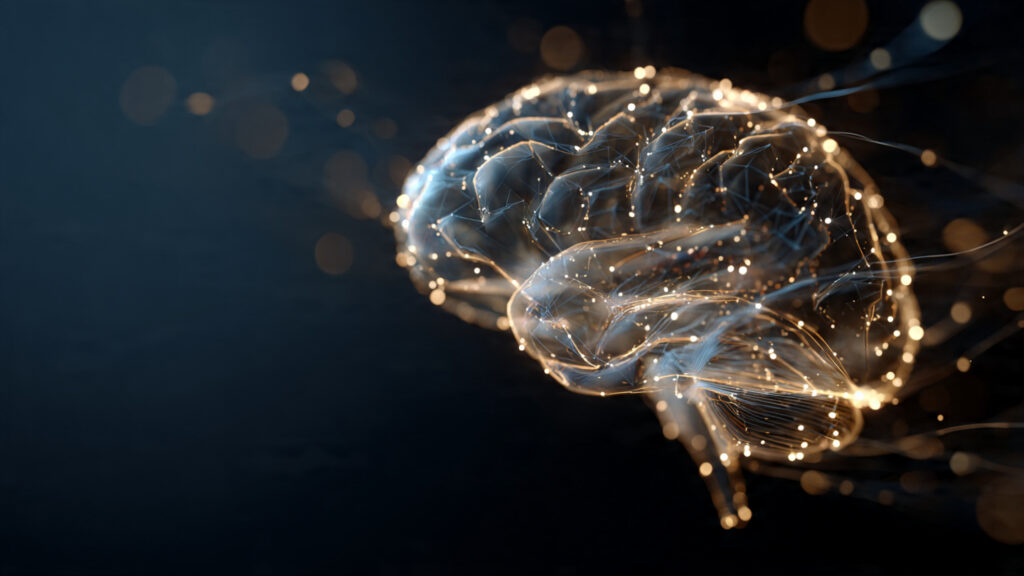 a human brain glowing softly with connected